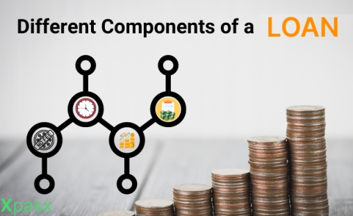 Components of a Loan.